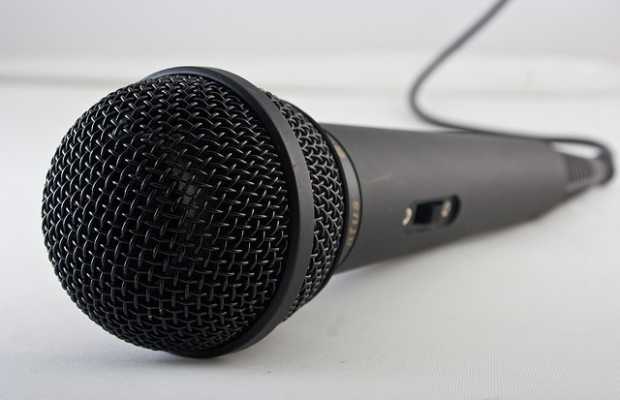 Stimme