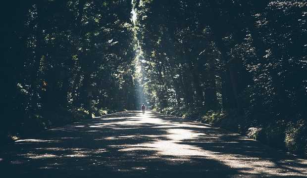 Wandern