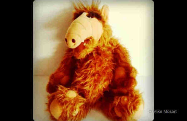 ALF ALF