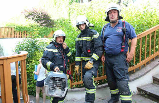 Katze gerettet Katze gerettet