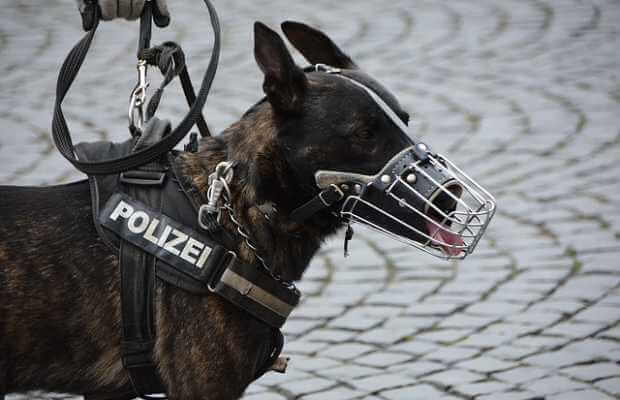 Polizei