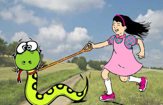 Betrunkener ging mit Python Gassi Betrunkener ging mit Python Gassi