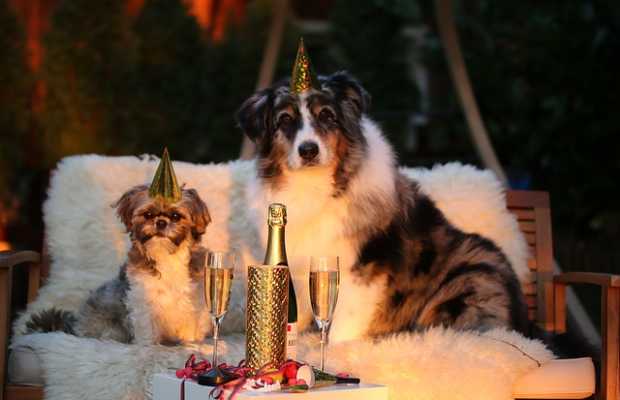 Silvester