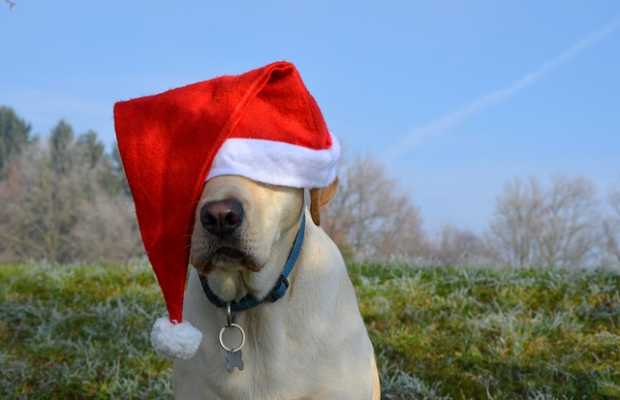 Weihnachten