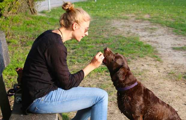 Hundehalter