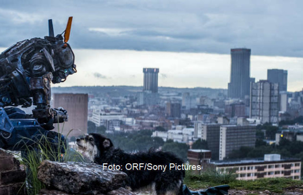 Chappie Chappie