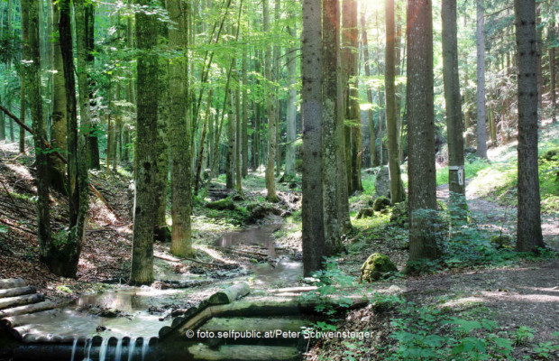 Steinwandklamm Steinwandklamm