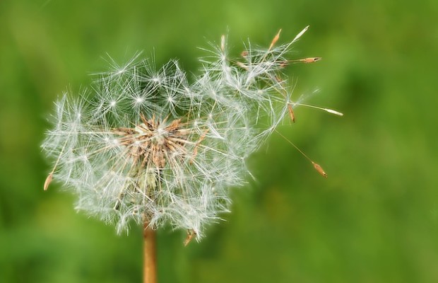 Natur