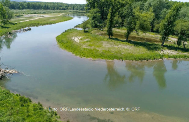 Ein Fluss lebt auf - die Revitalisierung der Traisen in Niederösterreich Ein Fluss lebt auf - die Revitalisierung der Traisen in Niederösterreich