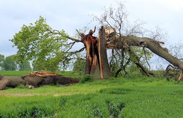 Unwetter