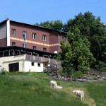 Schutzhaus am Hocheck