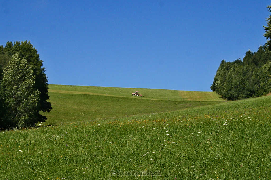 Ein Traktor nahe Steinwandgraben Richtung Ebeltal Wie lange können die Bauern die Landschaft so schön pflegen? 