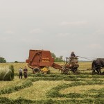 landwirtschaft 1434445784