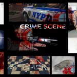 verbrechen 1446886653