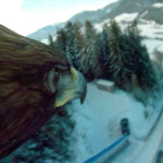 Eagle Cam-Aufnahmen von Filmadler in Wie Brüder im Wind