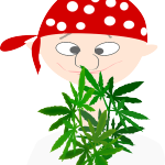 cannabis 1452851510