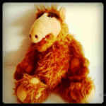 ALF