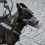 polizei 1466338964