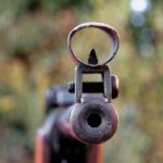 gewehr 1485273729