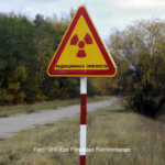 Radioaktive Wölfe in Tschernobyl