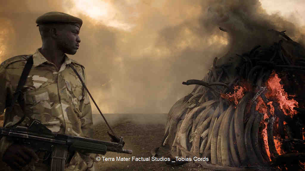Cinema for Peace Award an Terra Mater Factual Studios