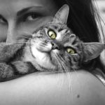 Katze 1491986926