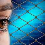 flüchtlinge 1492419551