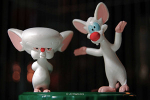 Pinky und der Brain