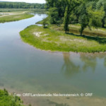 Ein Fluss lebt auf - die Revitalisierung der Traisen in Niederösterreich