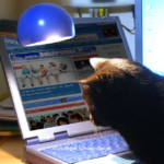 Katze Kipferl liest News auf Zeit im Blick