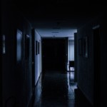 Terror 1502700228