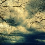 sturm 1503222063