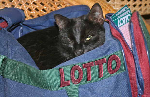 Hab mit ZEIT IM BLICK eine Reise im LOTTO gewonnen! Hab mit ZEIT IM BLICK eine Reise im LOTTO gewonnen!