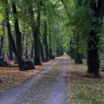 Allerheiligen 1509532721