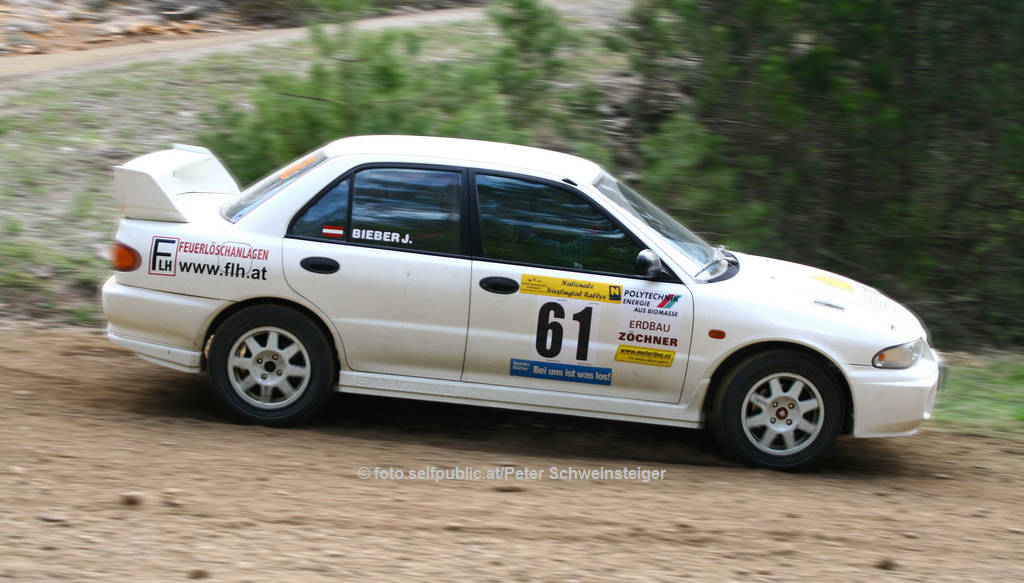 Triestingtal Rallye 2009