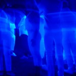 Party 1512908187