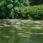 Donau 1529312618