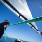Segelboot 1529916904