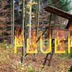 feuerbaum