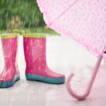sommer 1533203548