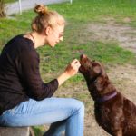 Hundehalter 1539165041