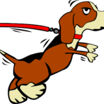 hund 1541696931