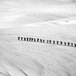 winter 1546711240