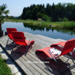 Schwimmteich