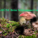 grüne schwammerl
