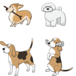 hund 1570017523