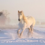 schnee 1573650170