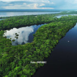Amazonas - Fluss ohne Grenzen
