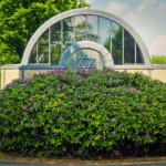 Synagoge 1598282927