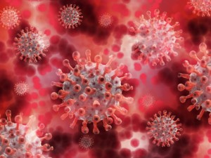 Coronavirus - ein Krimi rund um dieses VIRUS - das schrecklichste seit Kriegsende ist eingetreten